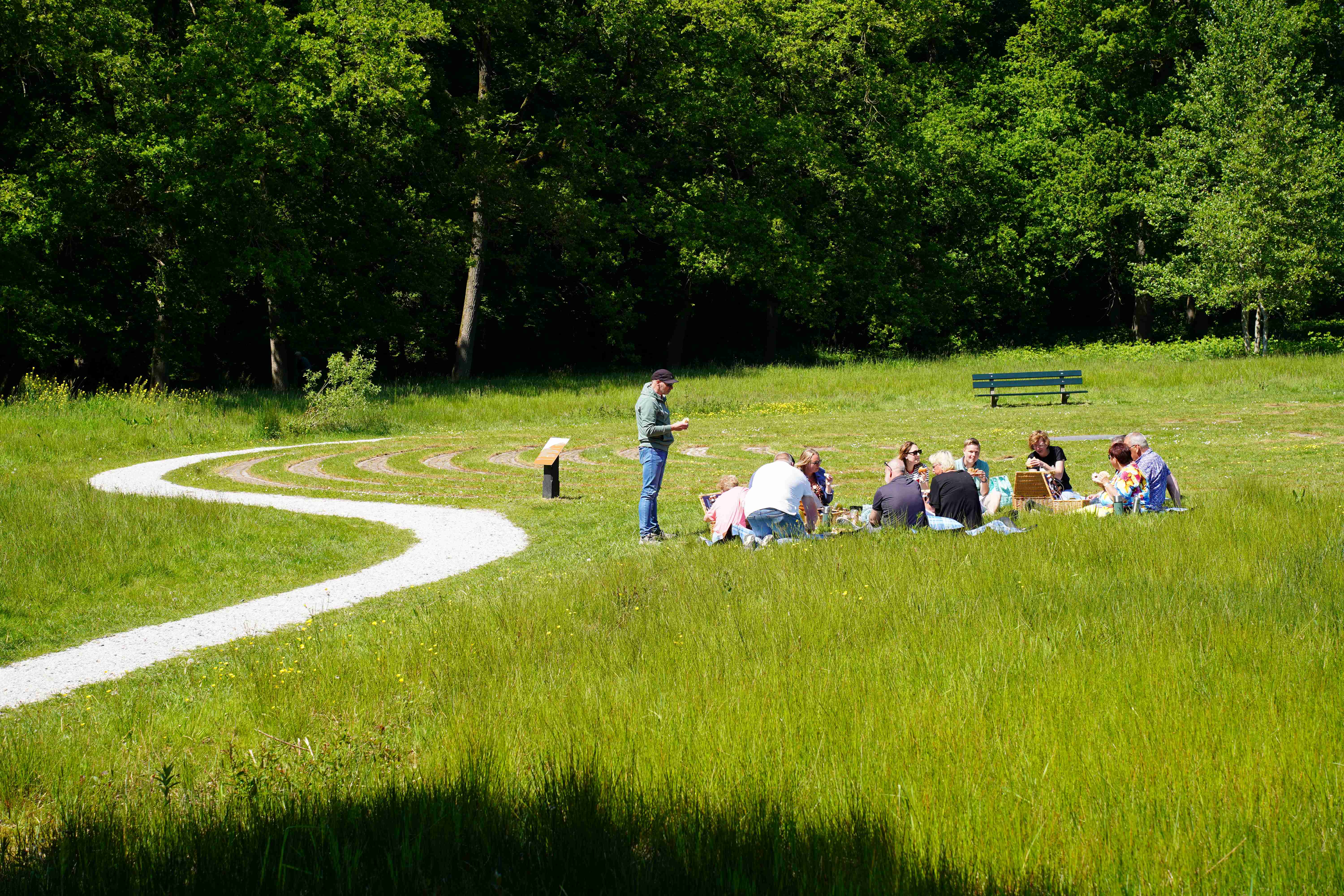 Company Outing Groningen | Classic Car Tours & Corporate Events